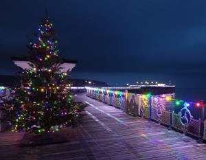 Barnet Christmas Tree 2024